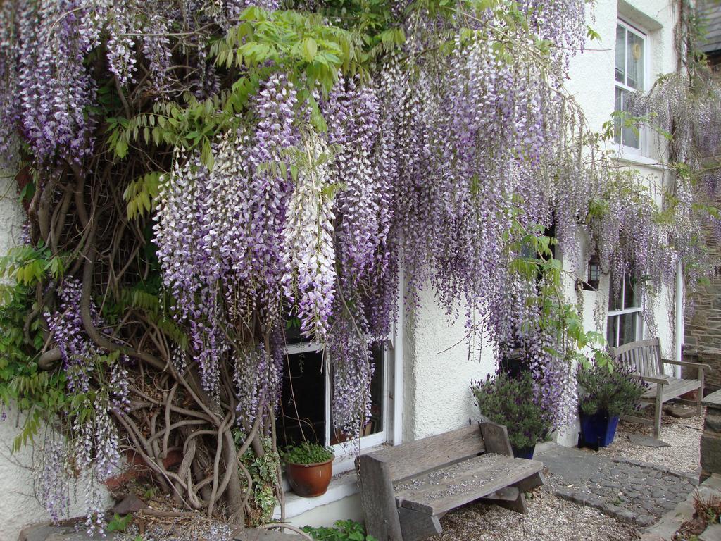 Apartamento Half Moon House Hay-On-Wye Exterior foto